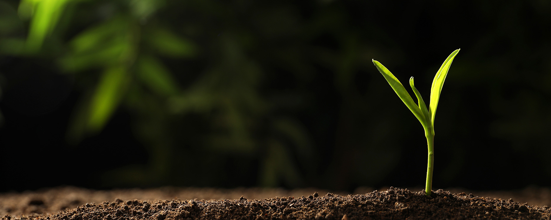 中国·必发集团(股份)有限公司-官方网站